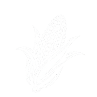 cone